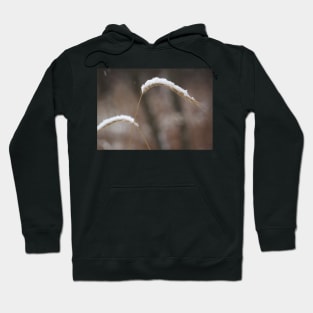 Winter Wheat in the Snow Hoodie